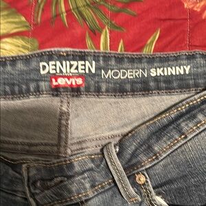 Denizen Levi's Modern Skinny Jeans
